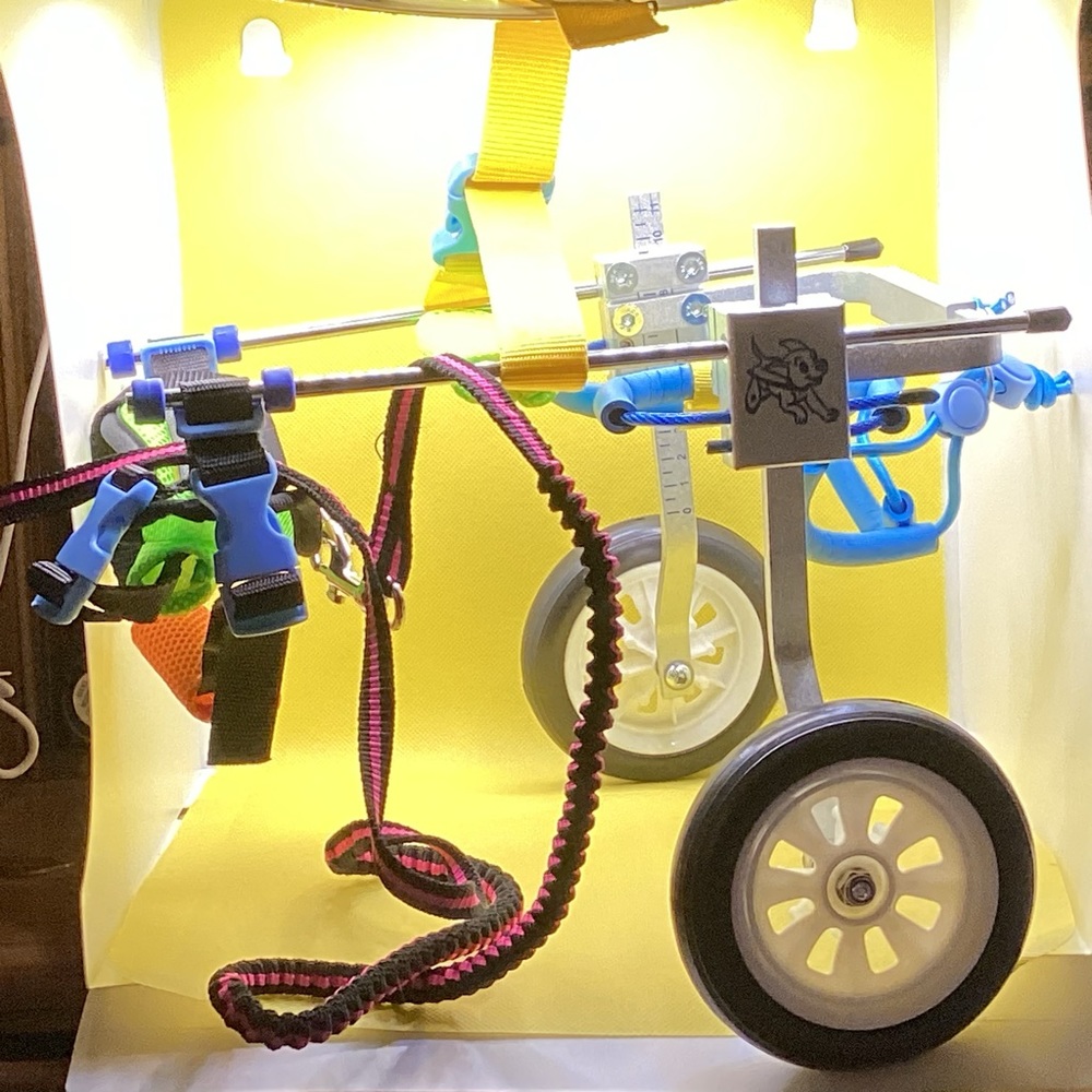 Pet Wheelchair for Small Dogs Cats and Other Similar Pets - Picture 2 of 9